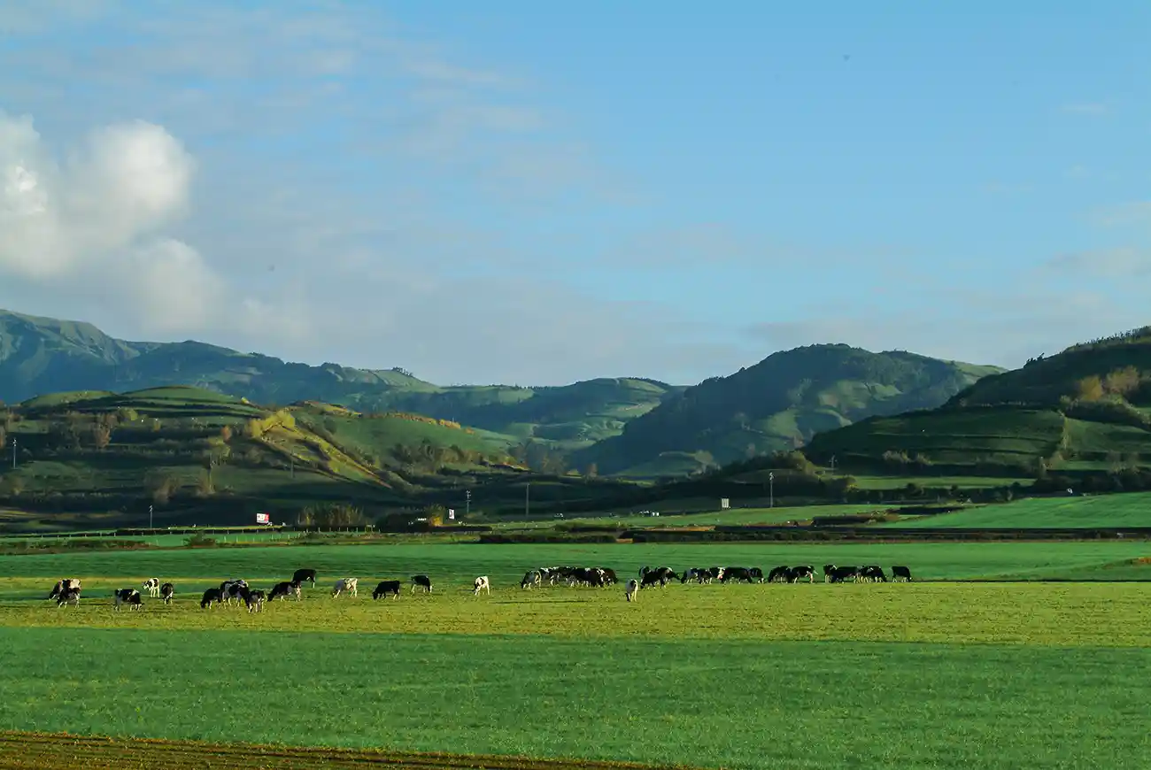 Sistema fissural dos Picos Sistema fissural dos Picos